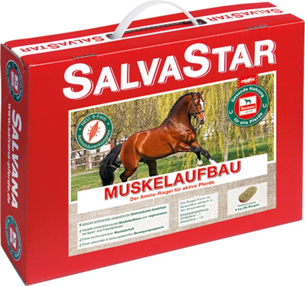 SALVASTAR MUSKELAUFBAU