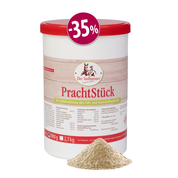 Der Stallmeister PrachtStück